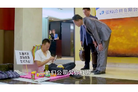 芝麻胡同刘蓓讨债：揭秘胡同里的民间借贷风波