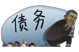 花呗还不上天天催收：揭秘花呗逾期处理与应对策略