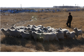 投诉催收后会怎么样？揭秘催收投诉后的处理流程