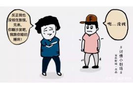 什么是专业讨债？