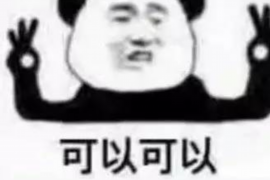 追讨债务诉状名称：如何有效提起债务追讨诉讼