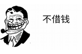 周至清数公司哪里找? 周至清数公司哪里找?