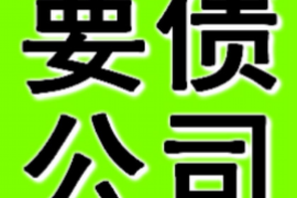 大连市里的讨债公司：专业、高效、合法的债权回收解决方案