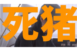 苏宁催收是第三方吗？解析苏宁催收体系及其与第三方的关系