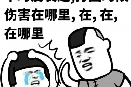 黑妹要账大全:轻松应对债务回收的实用指南 黑妹要账大全:轻松应对债务回收的实用指南
