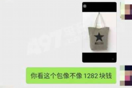 雍正王朝田文镜要账：一段历史佳话的解读
