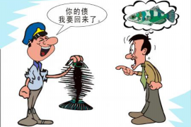 条子催收咋样投诉——全面解析与应对策略