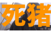 闪贷信安催收电话：揭秘催收行业的那些事儿