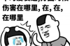 黑妹要账大全：轻松应对债务回收的实用指南
